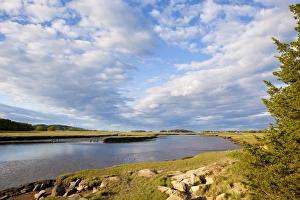 Marsh Prints: Salt marsh on the edge of the Essex River in Essex, Massachusetts. Cox Reservation