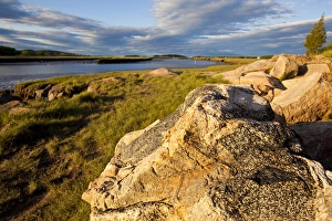 Images Dated 15th May 2010: Salt marsh on the edge of the Essex River in Essex, Massachusetts. Cox Reservation
