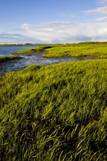 Wet Land Prints: The salt marsh side of Long Beach in Stratford, Connecticut. This body of water is
