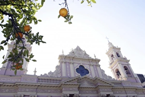 Pray Prints: Saltas cathedral, Argentina