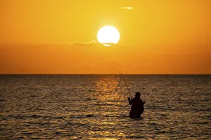 Saltwater Prints: Saltwater fishing in Laguna Madre (bay) at sunrise