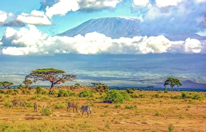 Snowcapped Prints: Samburu National Reserve, Kenya