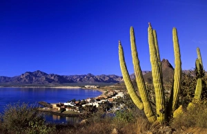 San Carlos, Mexico