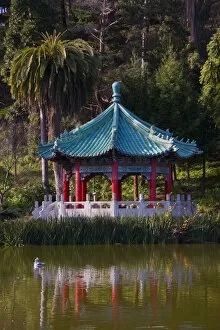 In San Francisco at Stow Lake, rich greenery surrounds the Golden Gate Pavillion