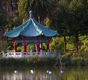 In San Francisco, Stow Lake with seagulls and rich greenery surround the Golden Gate