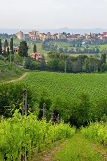 Skyline Prints: San Gimignano. Tuscany. Italy