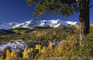 Images Dated 25th September 2006: San Juan Mountains and Aspen trees in fallcolor at sunrise, Dallas Divide, Ouray