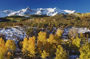 Images Dated 25th September 2006: San Juan Mountains and Aspen trees in fallcolor at sunrise, Dallas Divide, Ouray