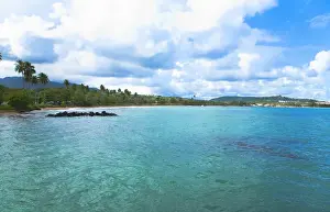 Secluded Prints: San Juan, Puerto Rico - Calm water is seen in the bay of a tropic island. Trees