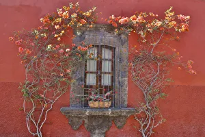 Images Dated 6th March 2015: San Miguel De Allende, Mexico. Colorful buildings and windows