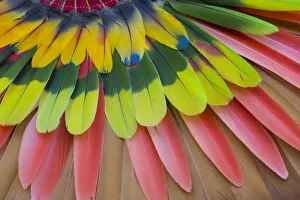 Colonial Prints: San Miguel De Allende, Mexico. Native feather headdress