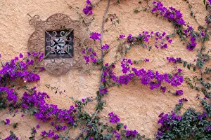Alice Garland Prints: San Miguel de Allende, Mexico, Ornamental window with bougainvillia