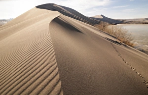 Images Dated 26th December 2011: Sand dune formations. Bruneau Dunes State Park, ID