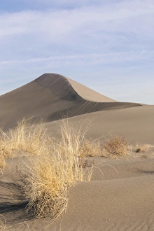 Images Dated 26th December 2011: Sand dune formations. Bruneau Dunes State Park, ID