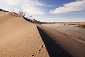 Images Dated 26th December 2011: Sand dune formations. Bruneau Dunes State Park, ID