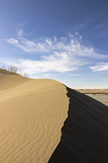 Idaho Prints: Sand dune ridge. Bruneau Dunes State Park, ID