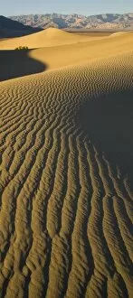 Images Dated 16th November 2005: Sand Dunes and