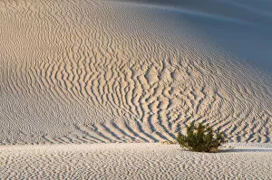 Images Dated 9th June 2007: Sand Dunes, Death Valley National Park, California, USA