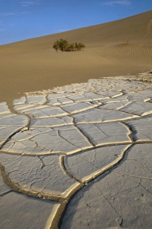 Images Dated 9th June 2007: Sand Dunes, Death Valley National Park, California, USA