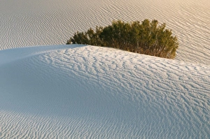 Images Dated 9th June 2007: Sand Dunes, Death Valley National Park, California, USA