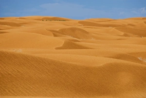Horseshoe Canyon Prints: Sand dunes, Horseshoe Canyon Unit, Canyonlands National Park, Utah