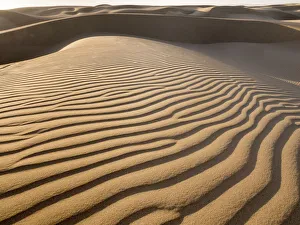 Images Dated 20th May 2021: The sand dunes of Pismo Beach, California