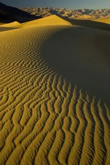 Sand Dunes and ripple desgins from the early morning light falling on the Dunes Mesquite