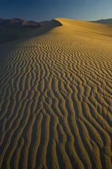 Images Dated 16th November 2005: Sand Dunes and ripple desgins from the early morning light falling on the Dunes Mesquite
