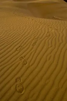 Images Dated 16th November 2005: Sand Dunes and ripple desgins from the early morning light falling on the Dunes Mesquite