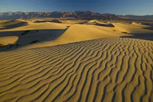 Images Dated 16th November 2005: Sand Dunes and ripple desgins from the early morning light falling on the Dunes Mesquite