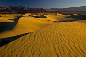 Images Dated 16th November 2005: Sand Dunes and ripple desgins from the early morning light falling on the Dunes Mesquite