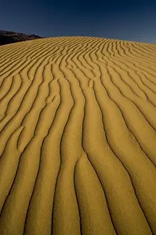 Images Dated 16th November 2005: Sand Dunes and ripple desgins from the early morning light falling on the Dunes Mesquite