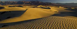 Images Dated 16th November 2005: Sand Dunes and ripple desgins from the early morning light falling on the Dunes Mesquite