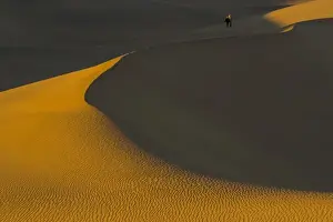 Images Dated 16th November 2005: Sand Dunes and ripple desgins from the early morning light falling on the Dunes Mesquite