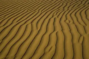 Images Dated 16th November 2005: Sand Dunes and ripple desgins from the early morning light falling on the Dunes Mesquite