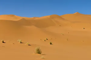 Fezzan Prints: Sand dunes in the Sahara desert. Akakus, Fezzan, Libya