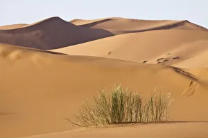 Images Dated 5th April 2009: Sand dunes, Sahara desert, Morocco