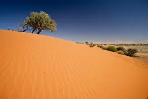 Sand Dunes, Strzelecki Track, Outback, South Australia, Australia