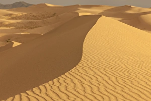 Mongolia Gallery: Sand Dunes at Sunset. Gobi Desert. Mongolia