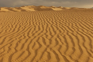Mongolia Gallery: Sand Dunes at Sunset. Gobi Desert. Mongolia
