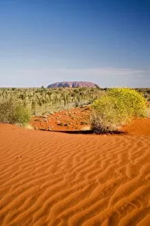 Images Dated 6th September 2006: Sand Dunes, Uluru - Kata Tjuta National Park, World Heritage Area, Northern Territory