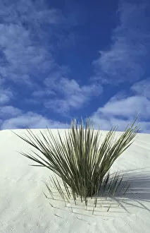 Sand dunes at White Sands National Monument, New Mexico