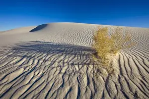 Images Dated 24th February 2009: Sand dunes at White Sands National Monument in New Mexico