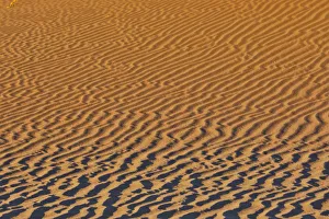 Sossusvlei Prints: Sand ripple patterns in the desert of Sossusvlei, Namibia