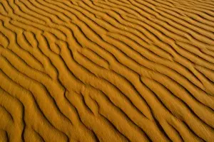 Images Dated 5th April 2008: Sand ripples and dunes at Coral Pink Sand Dunes State Park in Utah