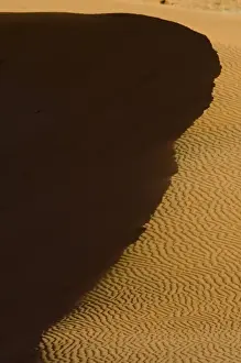 Sand ripples and dunes at Coral Pink Sand Dunes State Park in Utah