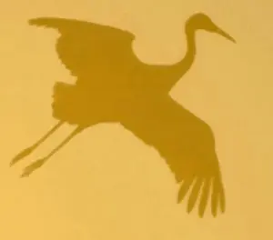 Rick Daley Prints: Sandhill crane silhouette at sunset over Bosque del Apache National Wildlife Refuge, N