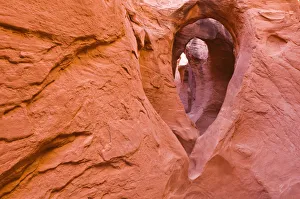 Images Dated 6th November 2008: Sandstone formations in Peek-a-boo Gulch, Grand Staircase-Escalante National Monument