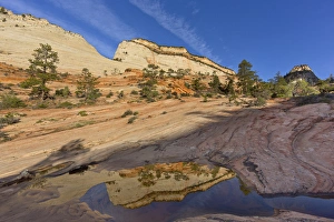 Images Dated 19th April 2012: Sandstone monument reflects in pool of water in Zion National Park, Utah, USA