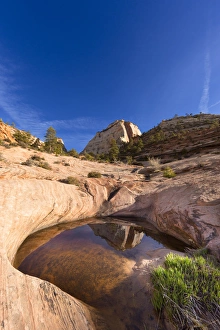 Images Dated 19th April 2012: Sandstone monument reflects in pool of water in Zion National Park, Utah, USA